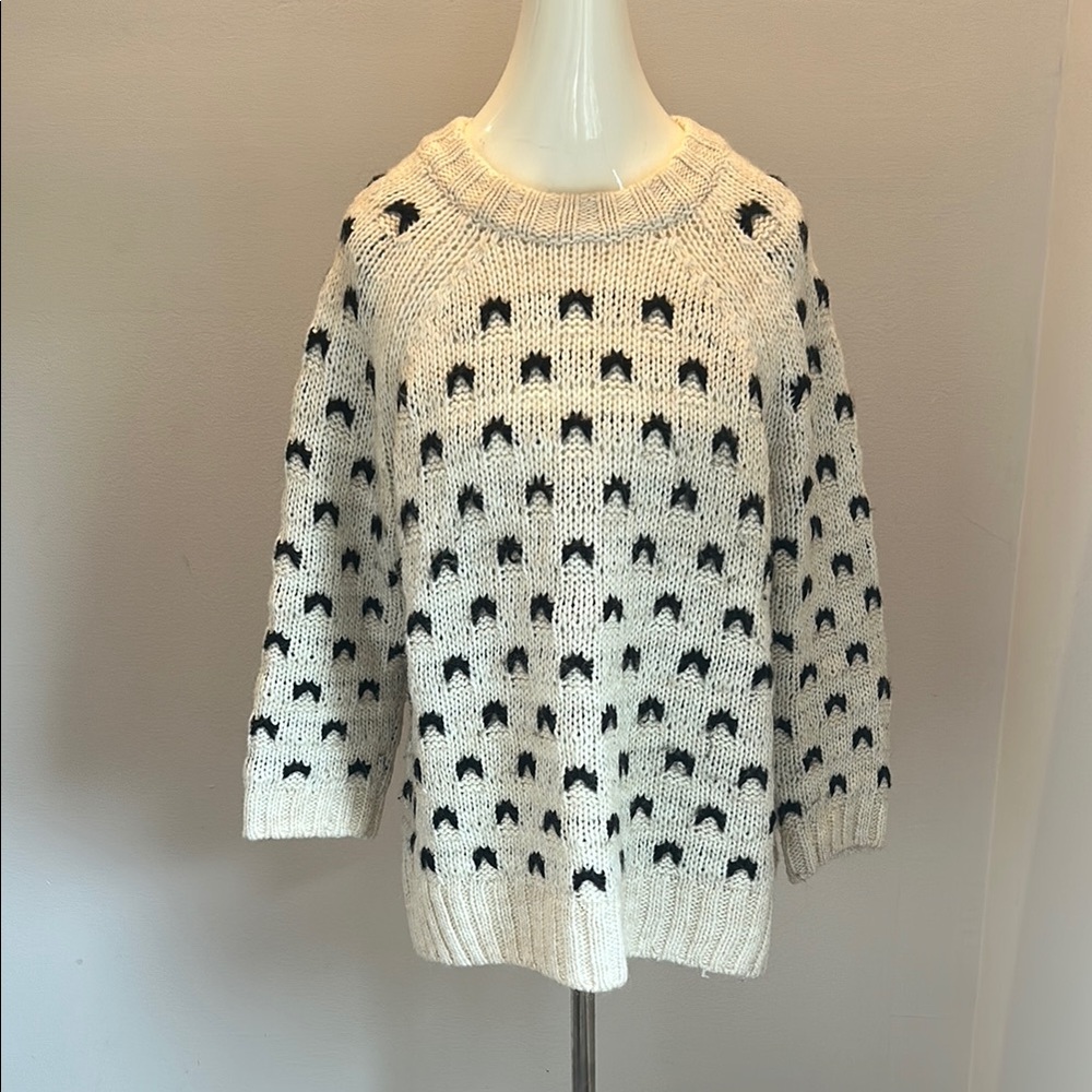 H&M Black and White Sweater